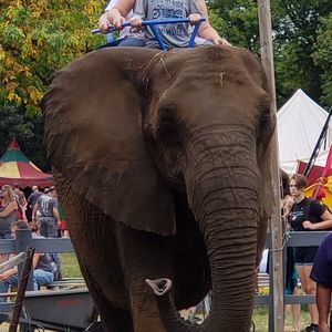 Meet your Posher, Fikret